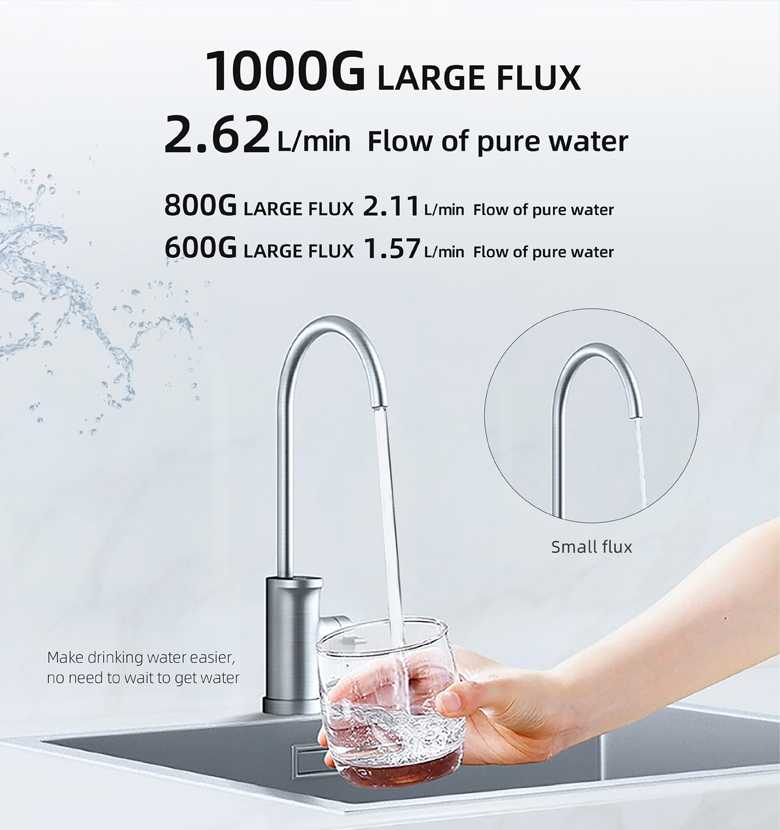 Purificador de agua RO de 1000 G